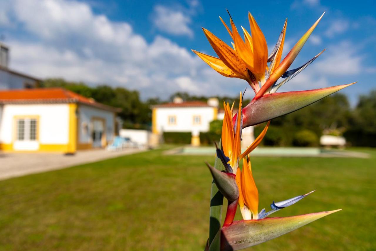 Bed and Breakfast Quinta do Pé Descalço Sintra Exterior foto